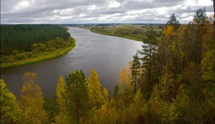 Oro kokybė Lietuvoje