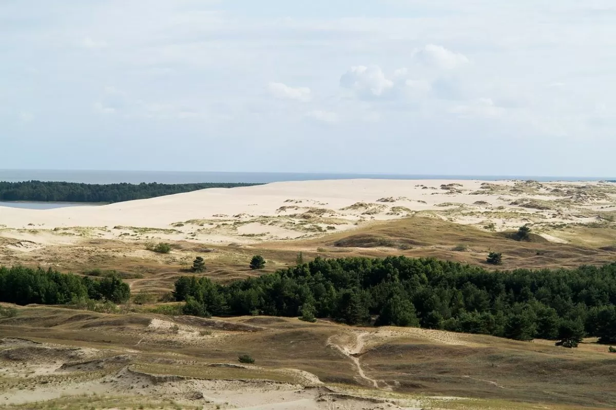 Kuršių nerijos parko sprendiniai