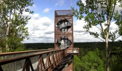 Medžių lajų takas. Turizmo objektas, kurį verta aplankyti