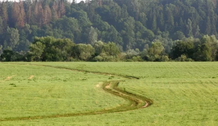 Kompensacija už servitutą